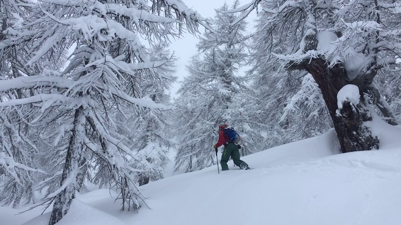 Ski de rando au dessus du Chalet de Coueimian dans le Bois des Ents