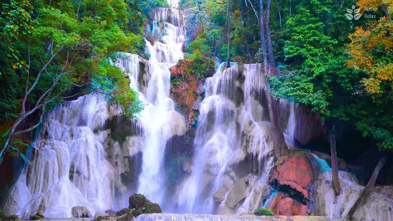 Самый красивый водопад тропического леса. 10 часов [Audio Relax] Nature ASMR