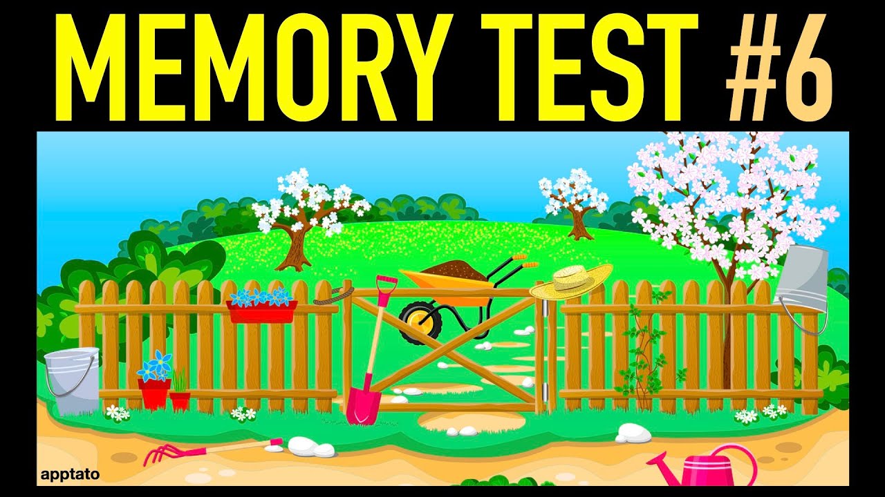 VISUAL MEMORY TEST #6 - Visual Memory Training Game