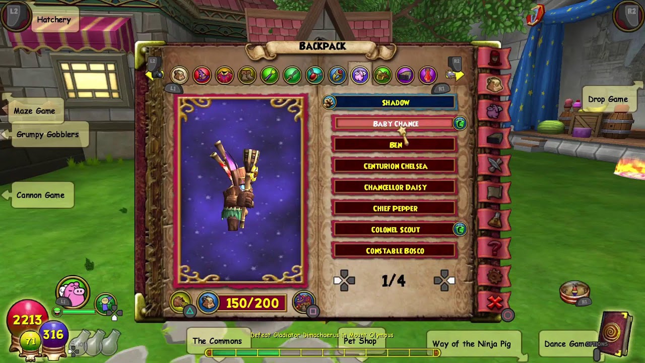 Wizard 101