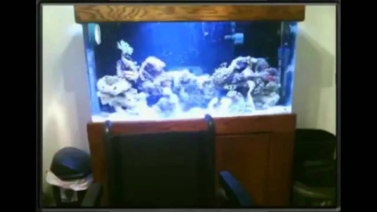 Let's Do This!!! 4/16/13: Disabled Gamer Regains Ability to Walk on Webcam