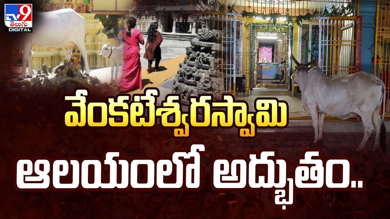వేంకటేశ్వరస్వామి ఆలయంలో అద్భుతం.. | Andhra Pradesh -TV9