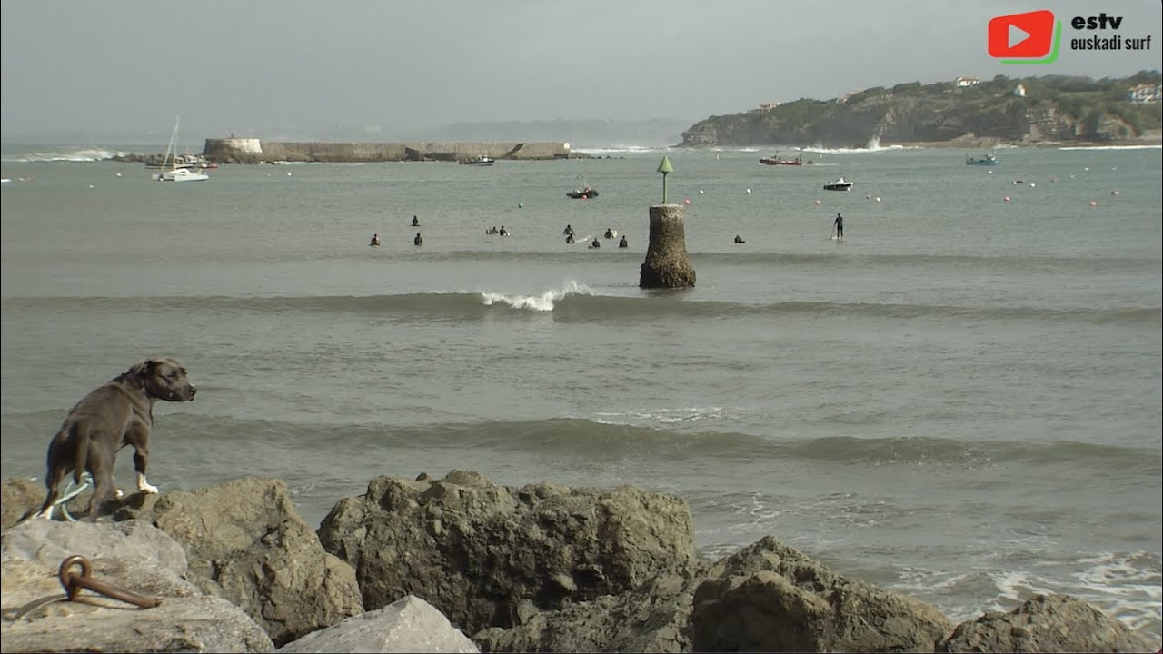 SURFING SOCOA  | 🏄&zwj;♂️  Longboard dans la Baie - ESTV Euskadi Surf TV
