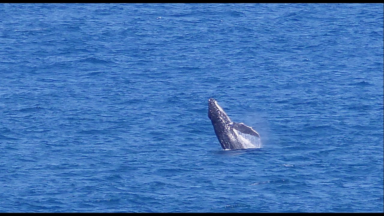 Eagle Bay 2020