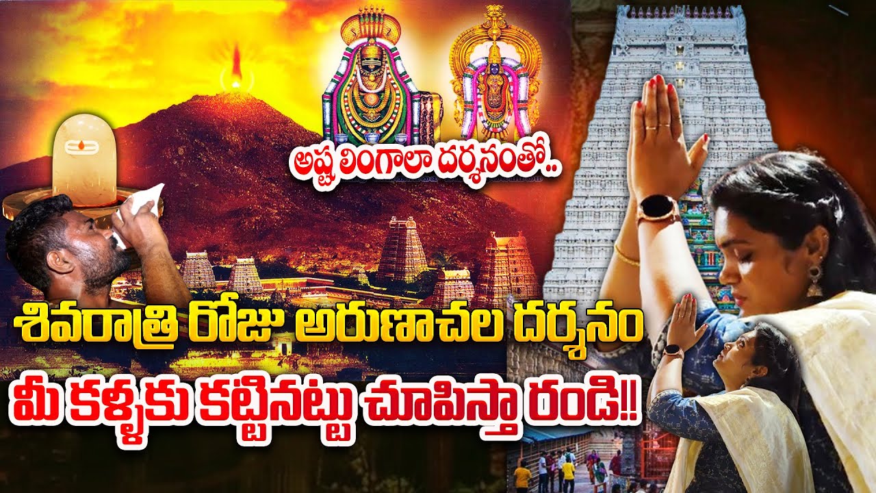 శివరాత్రి రోజు అరుణాచల దర్శనం మీకోసం || Arunachalam Temple || #sivaratri2025 || Suman TV Gold Life