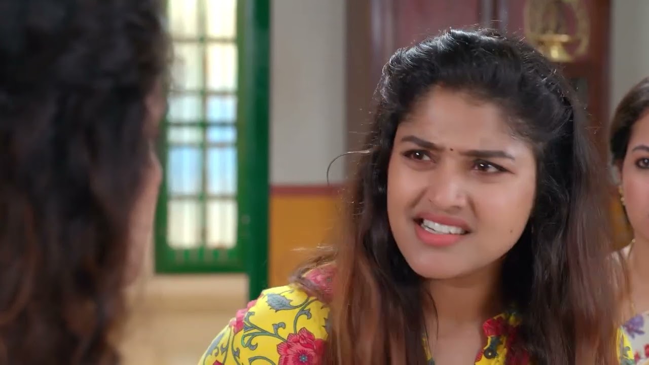 Hemlatha Learns about Radhika's Treachery - Rajini - Full Ep 246 - Zee Tamil