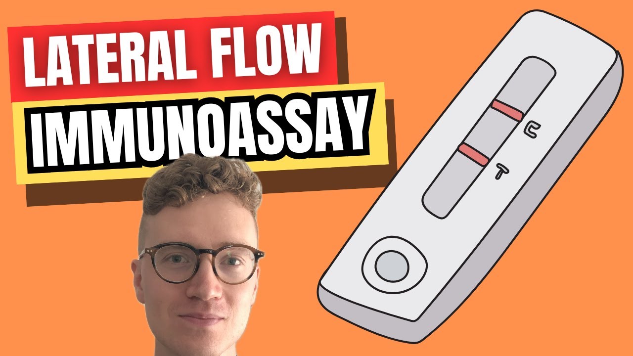 Lateral Flow Immunoassay (LFIA EXPLAINED)