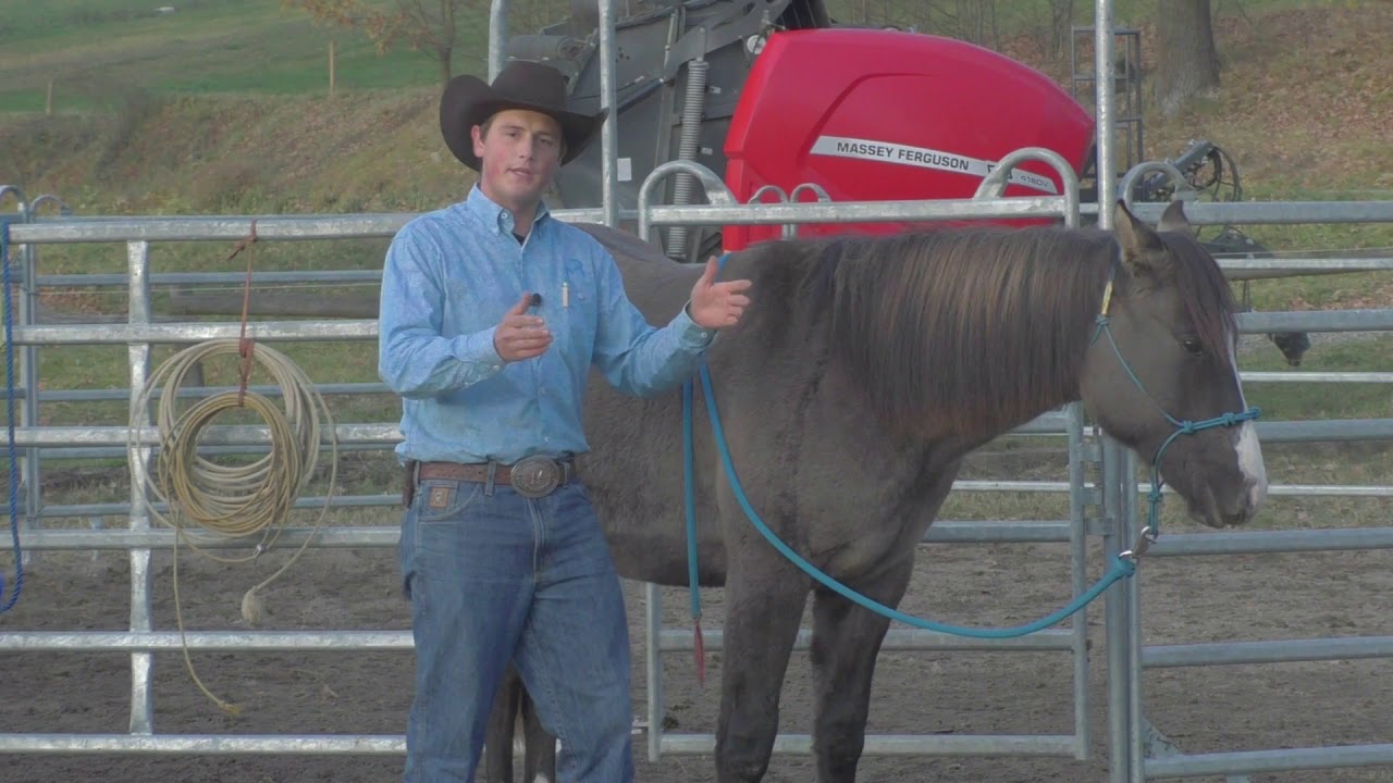 Barrels & Horsemanship- Ohýbání