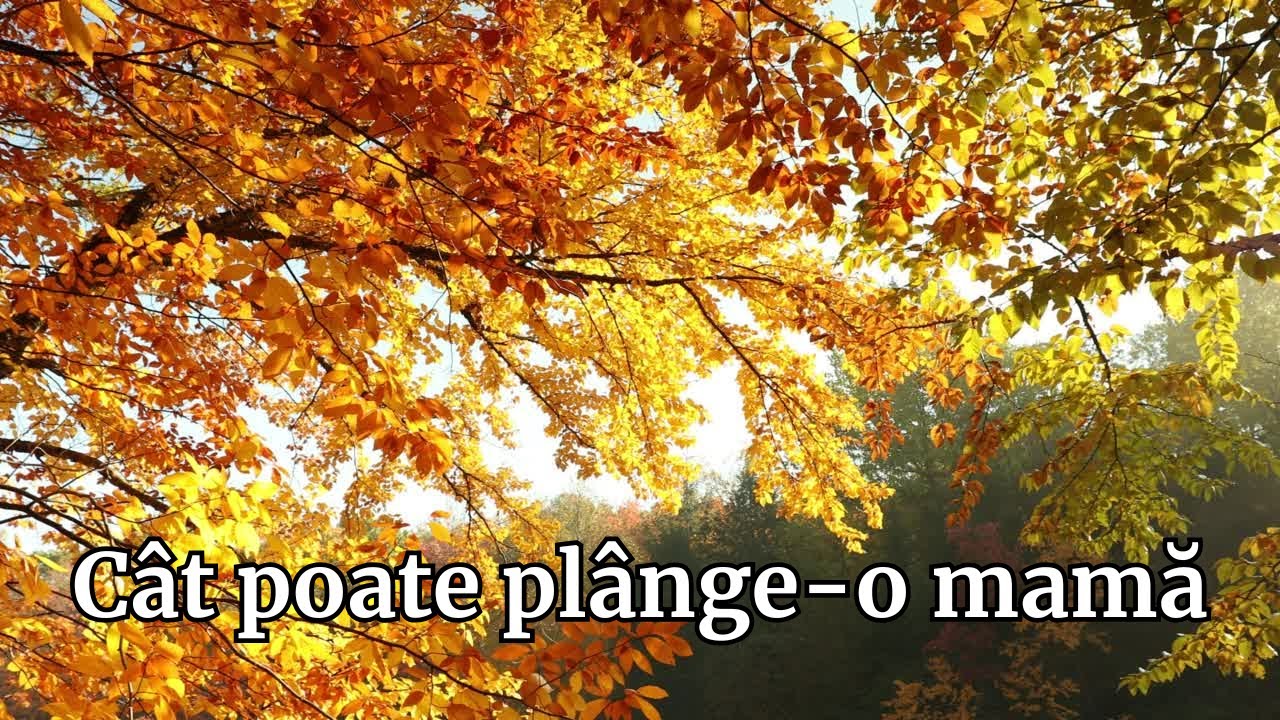 Cât poate plânge o mamă – Cântec emoționant despre dragostea și dorul unei mame 
