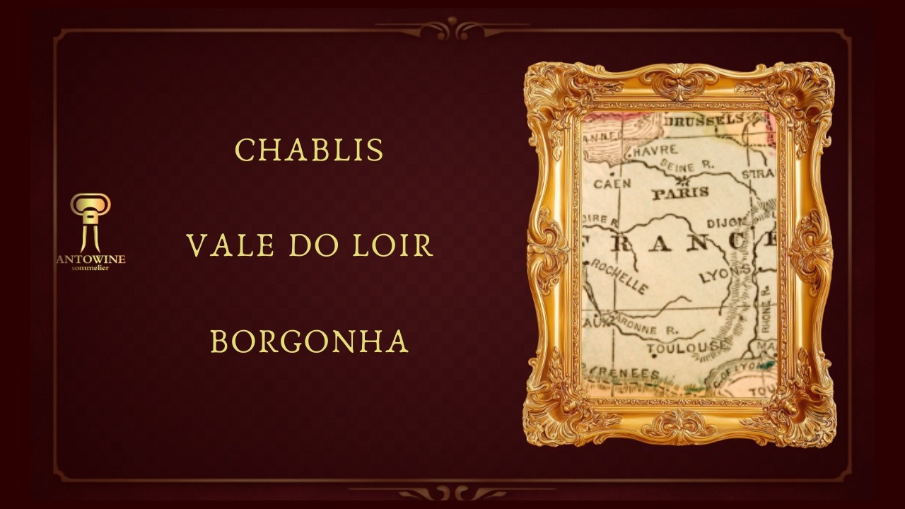 Vinhos Franceses: Tudo o que você precisa saber.