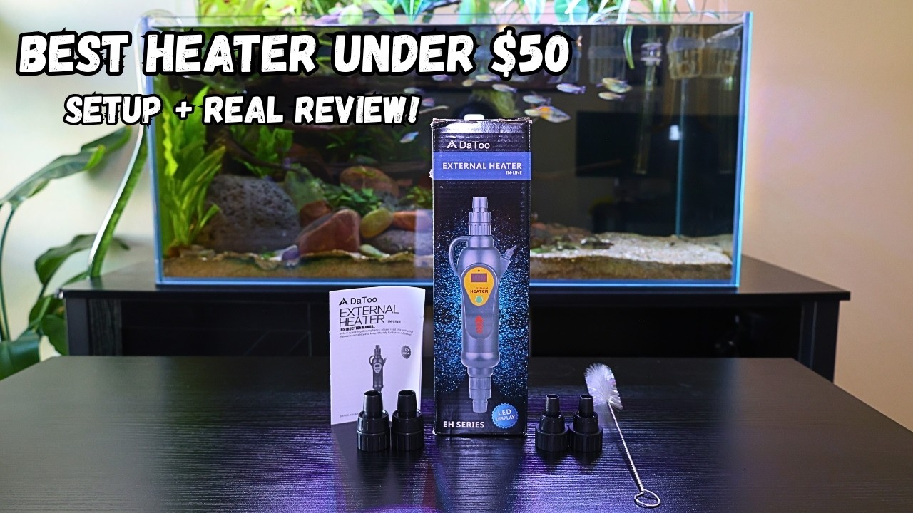 DaToo 300W In-Line Heater Review &ndash; The BEST Budget Aquarium Heater?