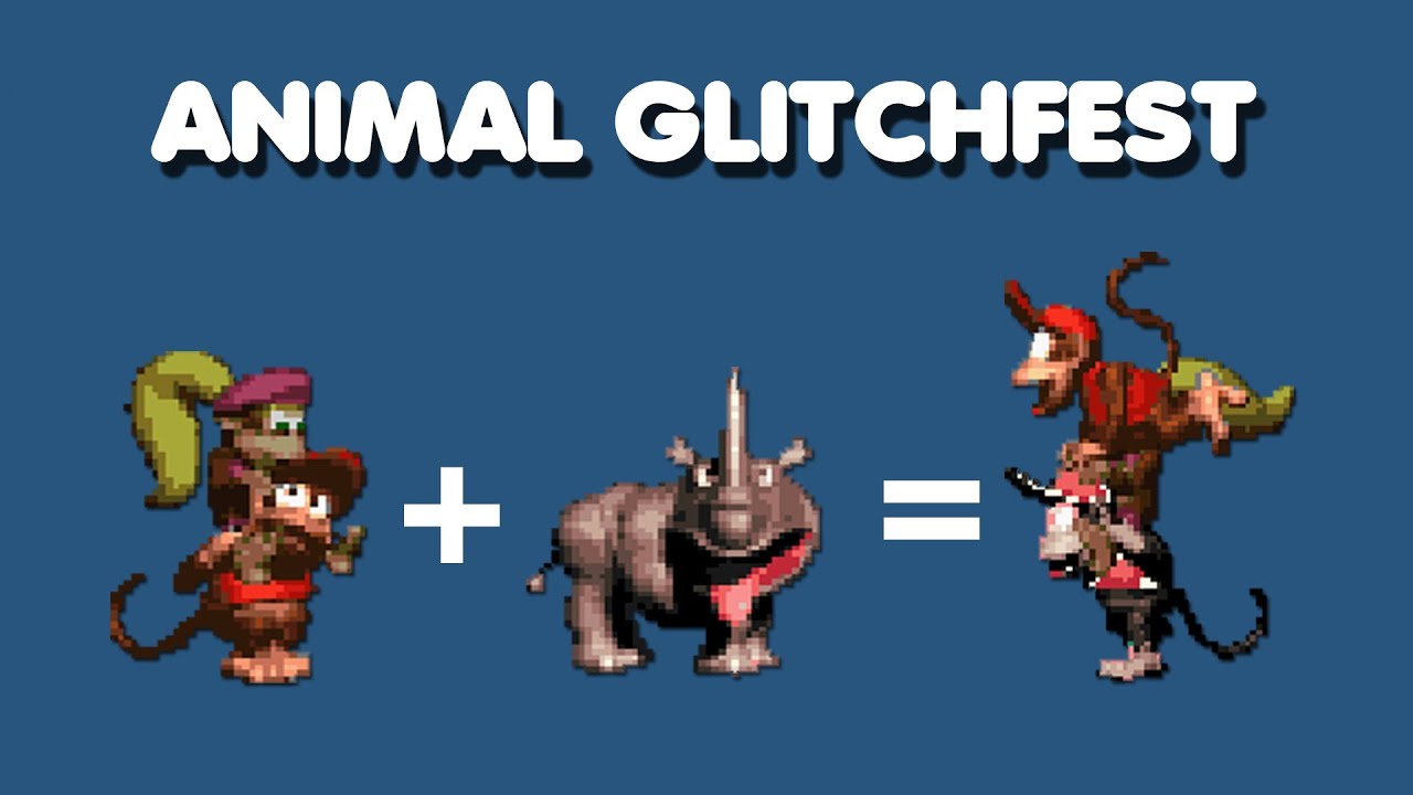 Donkey Kong Country 2 - Animal Glitchfest