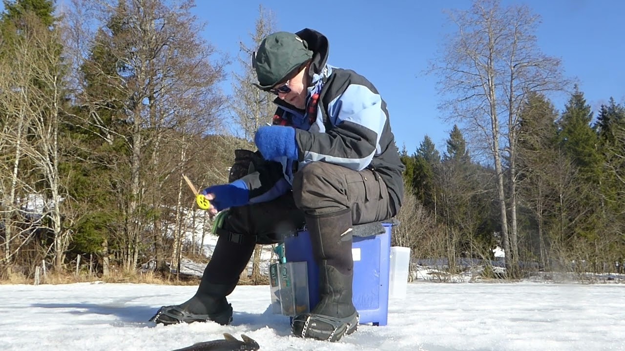 Isfiske - Ørret og Abbor