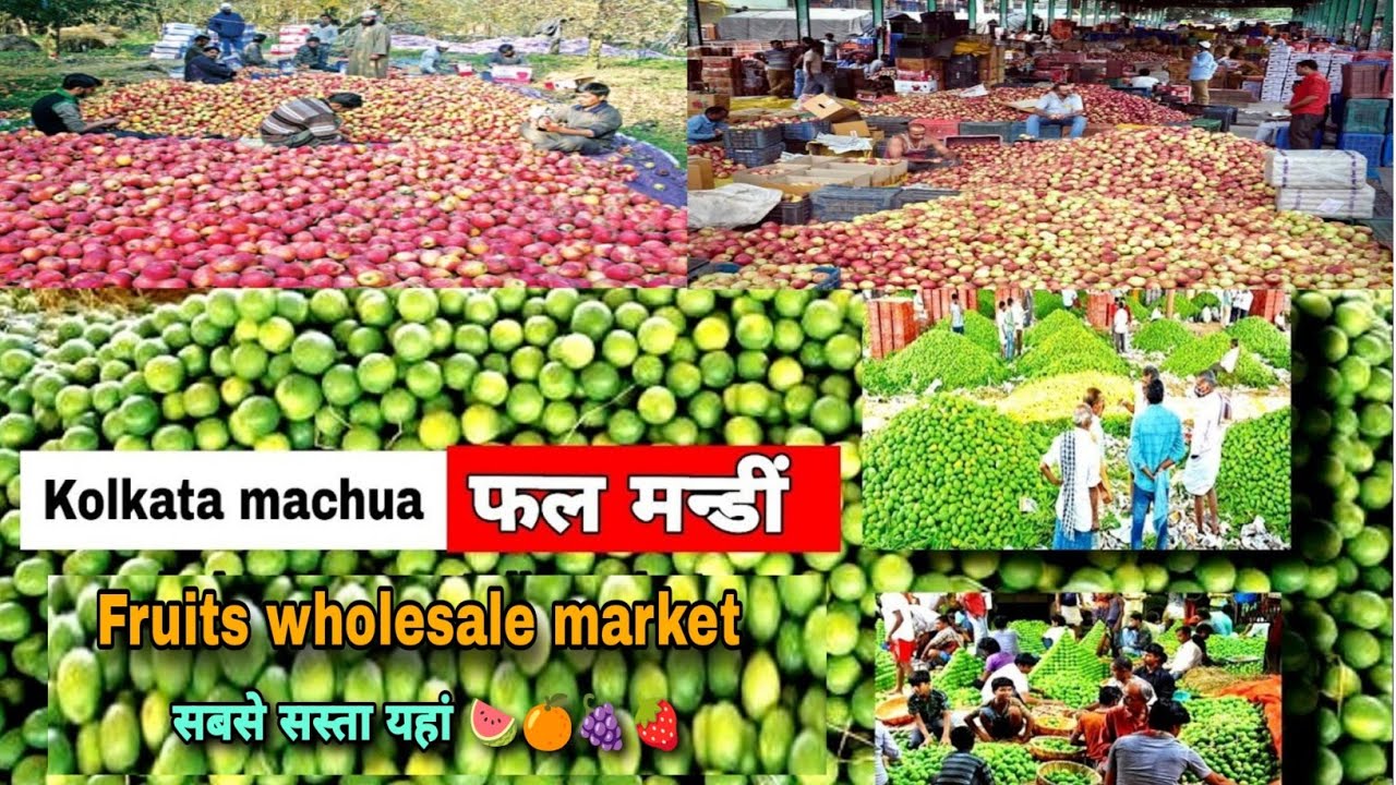 fruit market in kolkata | wholesale fruit market in Kolkata | machua fruit market kolkata 🍓🍎🍊🍉🍇
