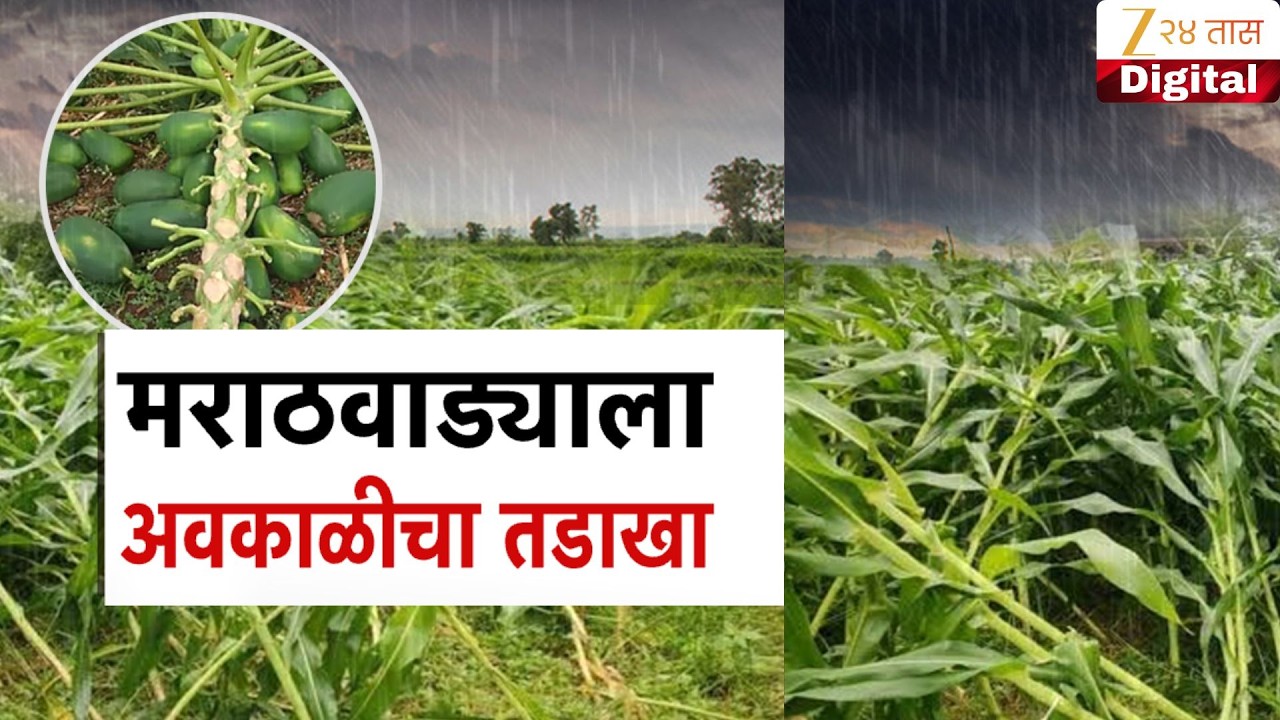 Special Report Unseasonal Rain Crop Damage | मराठवाड्याला अवकाळीचा तडाखा; शेतातील उभी पिकं जमिनदोस्त