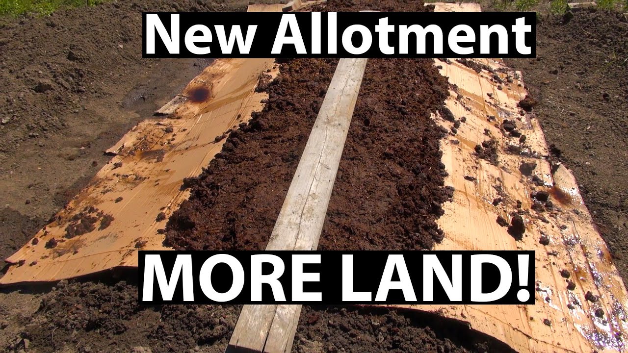 New Allotment - MORE LAND!