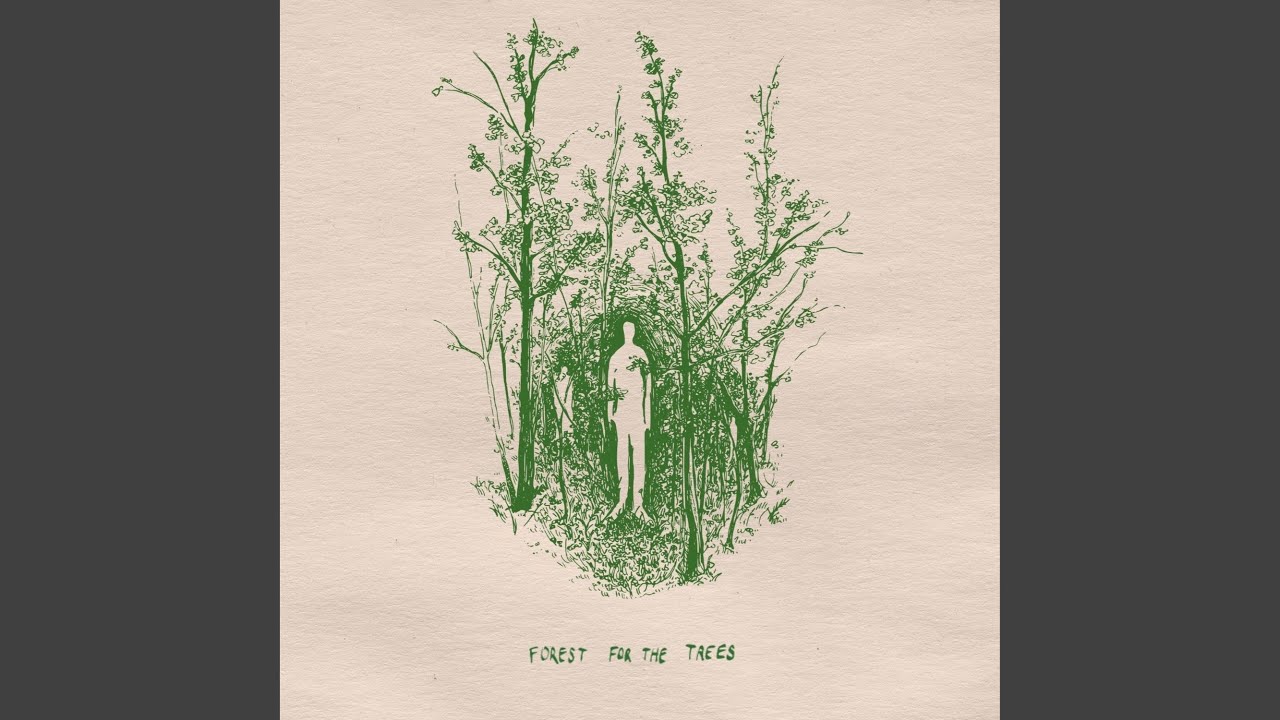 Forest For The Trees