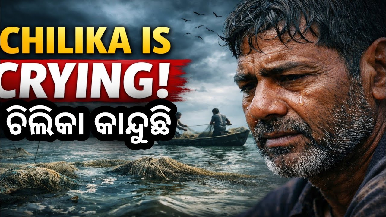 Chilika kahinki kanduchhi | ଚିଲିକାର ଲୁହ | #video