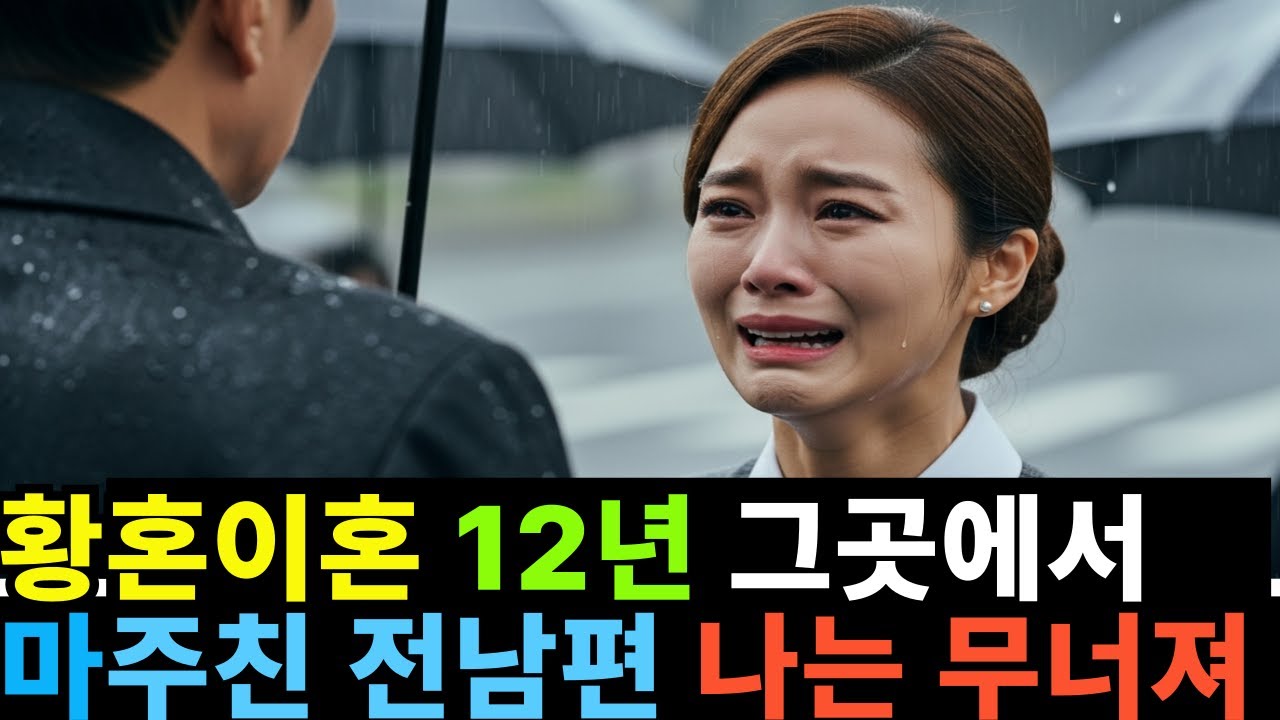 황혼이혼 12년 그곳에서  마주친 전남편 나는 무너졌다...