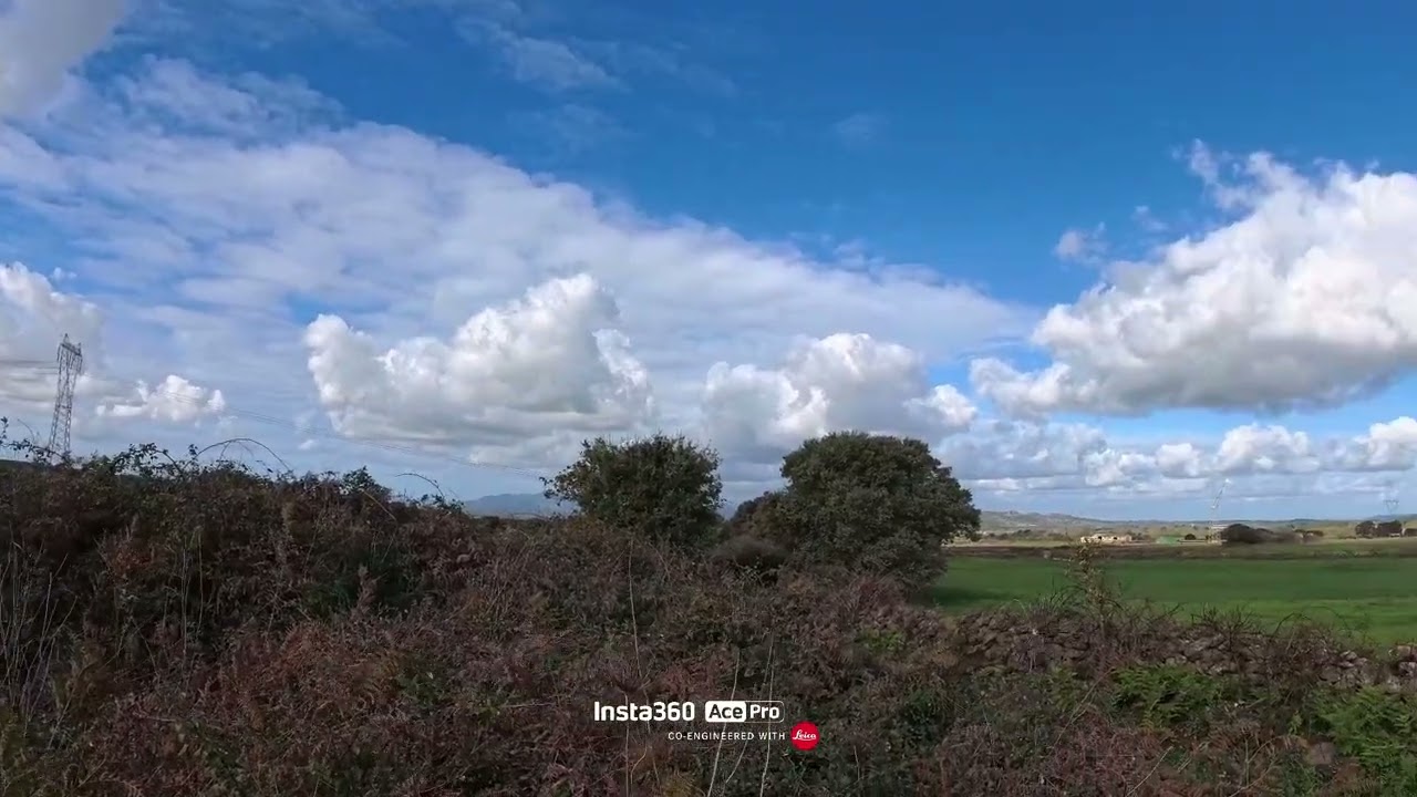 Caccia al cinghiale col cane da ferma 23/11/2025...ferito e perso😡