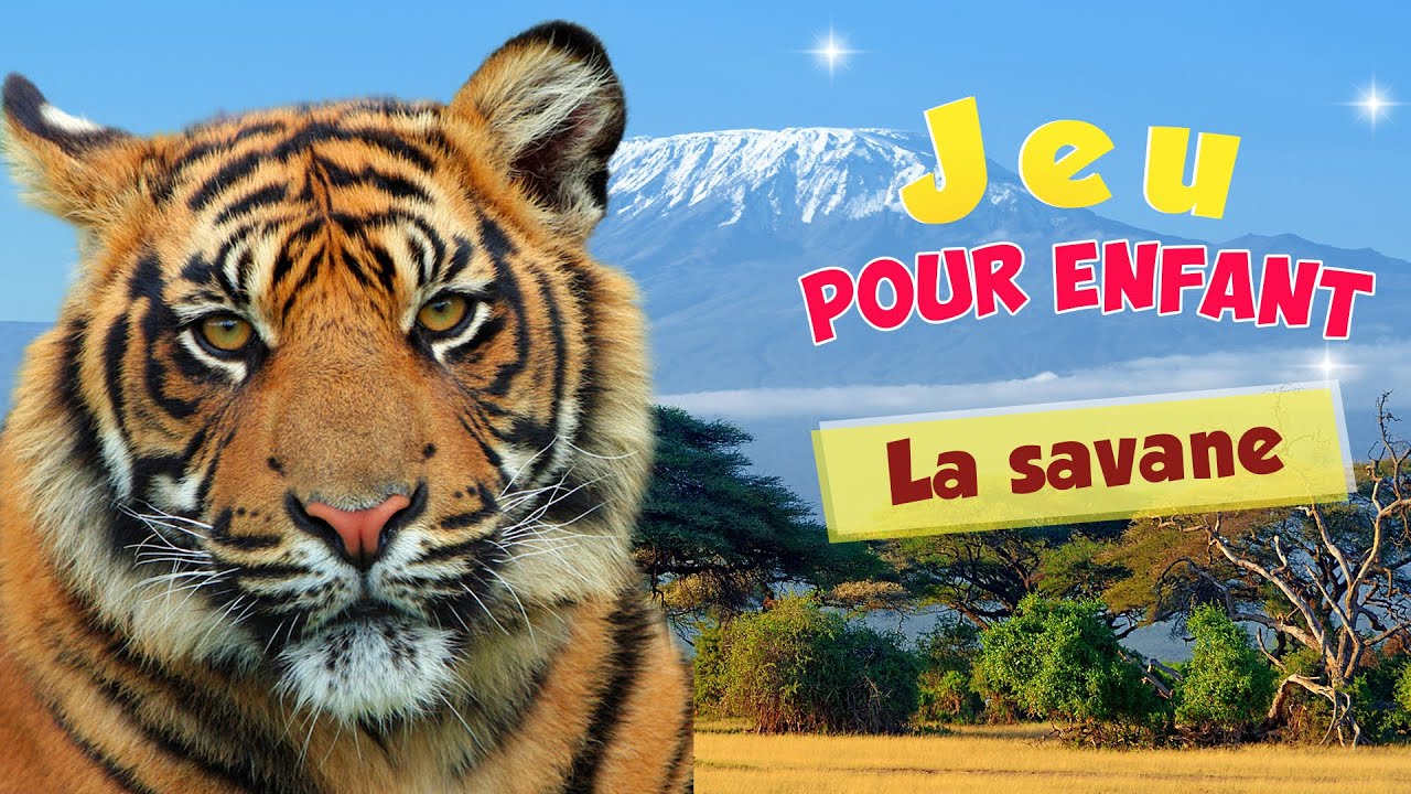 Les animaux de la savane africaine - jeu pour enfant, devine le nom des animaux d’Afrique !