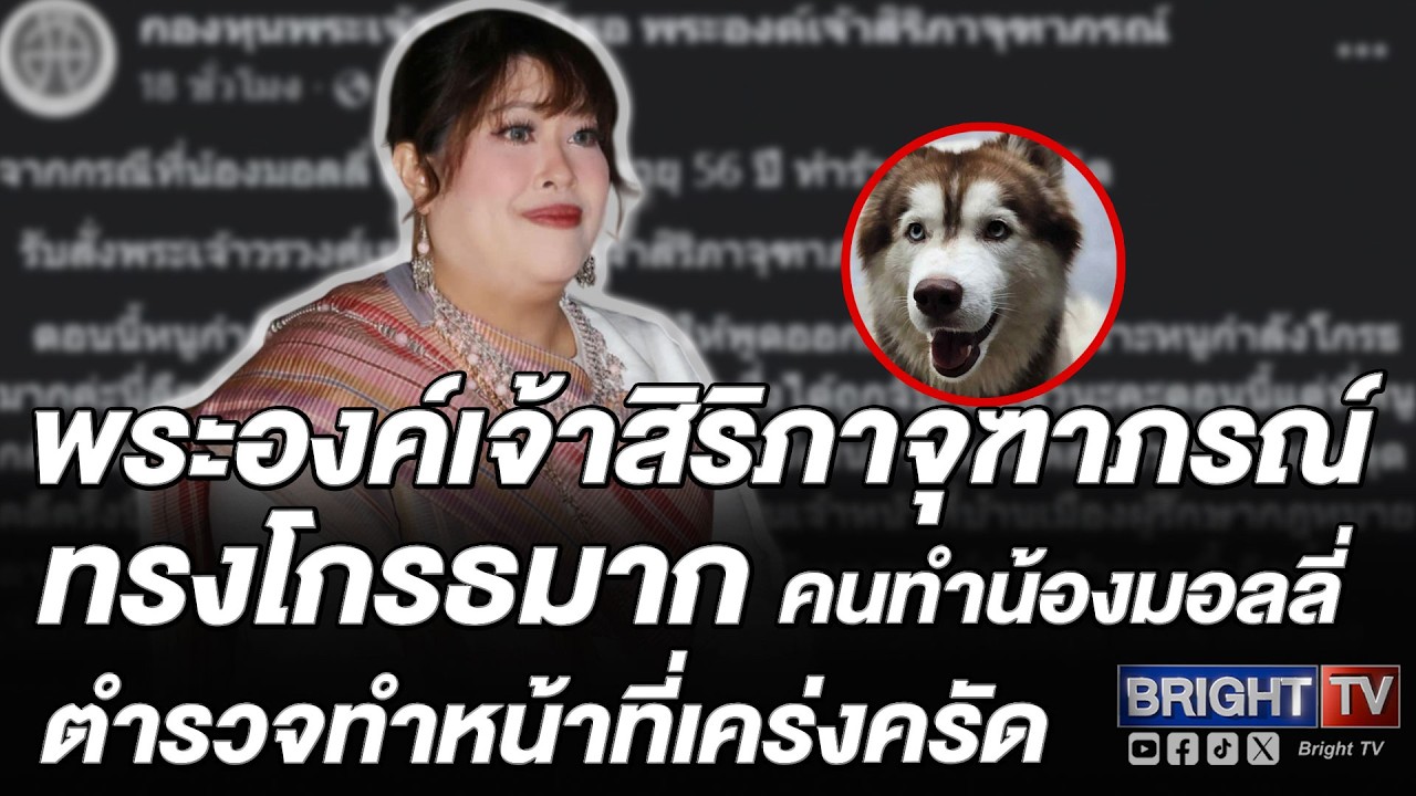 พระองค์เจ้าสิริภาฯ ทรงเศร้าปม น้องมอลลี่ ถูกทารุณดับทรงวินวอนบังคับใช้กฎหมายคุ้มครองสัตว์เคร่งครัด