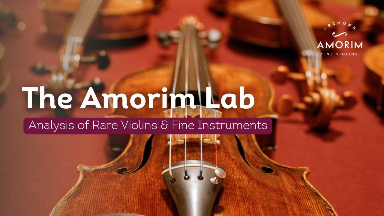 How We Analyze Rare Violins & Fine Instruments | Inside The Amorim Lab