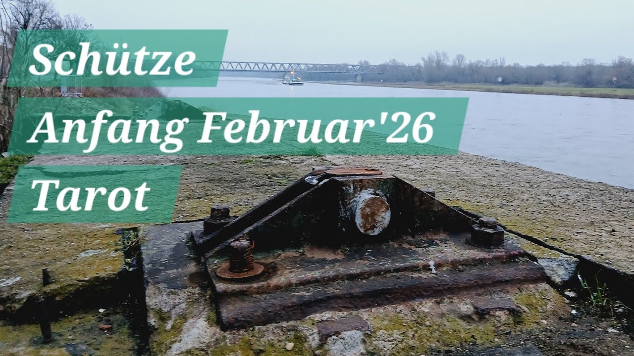 Schütze♐️ ✨️😎Gefragt - gejagt- elegante Ausstrahlung 🪽✨️