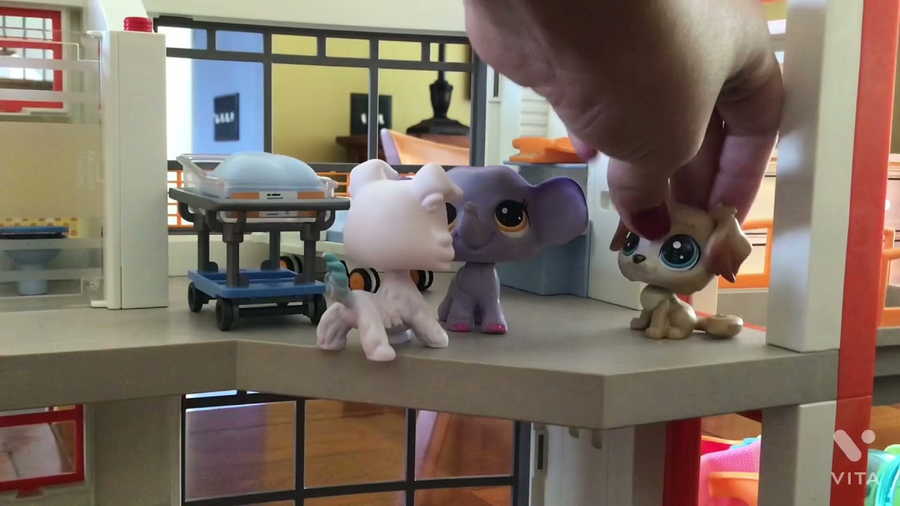 LPS: hospital disaster