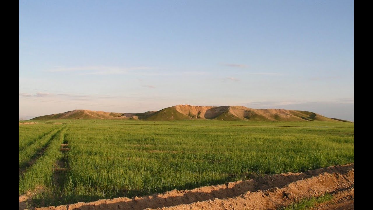 BISI Webinar: Prof Augusta McMahon on 'From Tell Brak to Lagash'