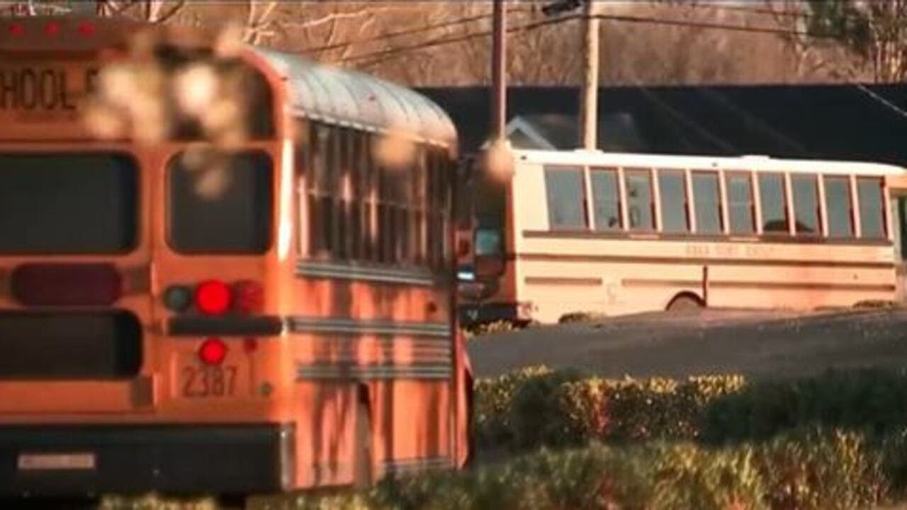 Person shoots pellet gun at DeKalb County school bus, hitting 1 student on board, district says