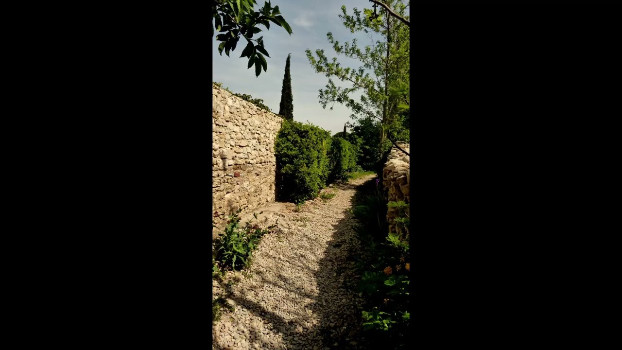 Sentier ( violoncelle , cor , flûte , vibraphone , cordes et percussions)
