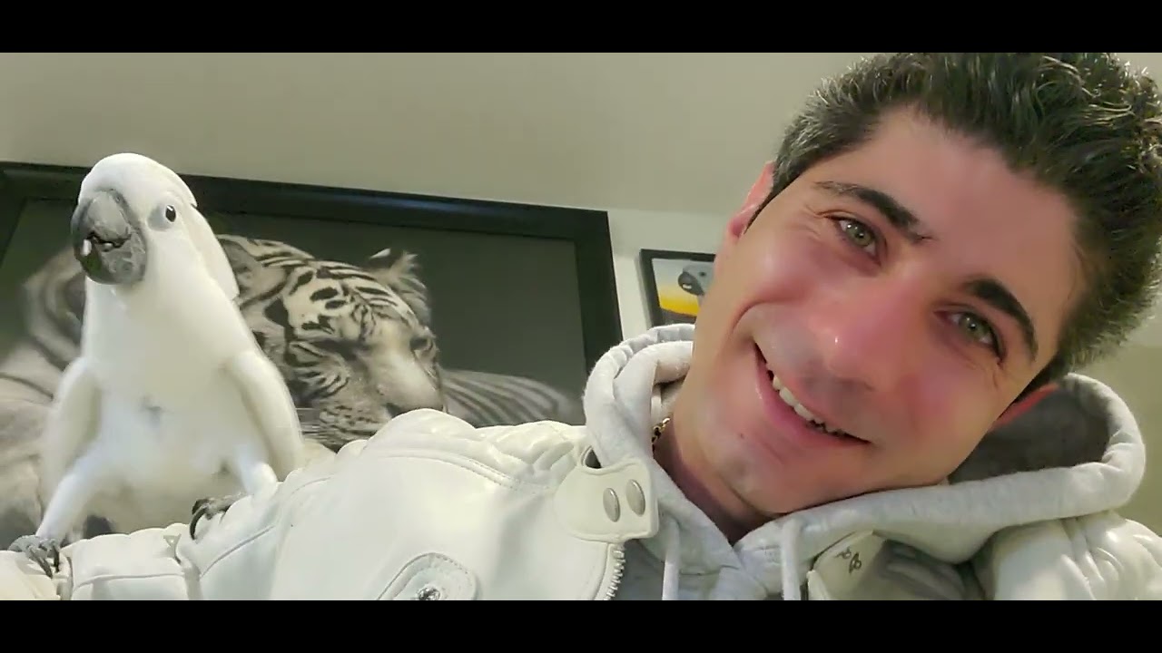 Cockatoo and His attitude 🤣🤣🤣 Joseph Tehrani