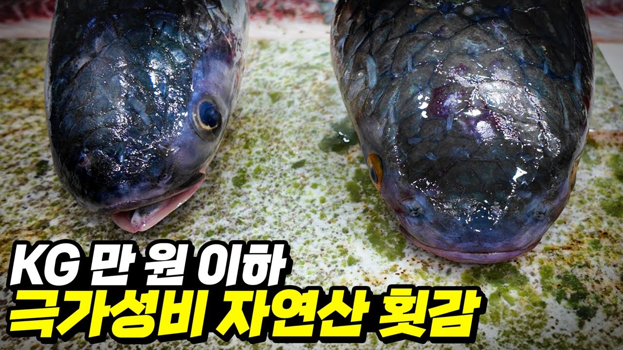 맛에 기절하는 줄 알았습니다... 지금이 기회입니다 당장 드세요!
