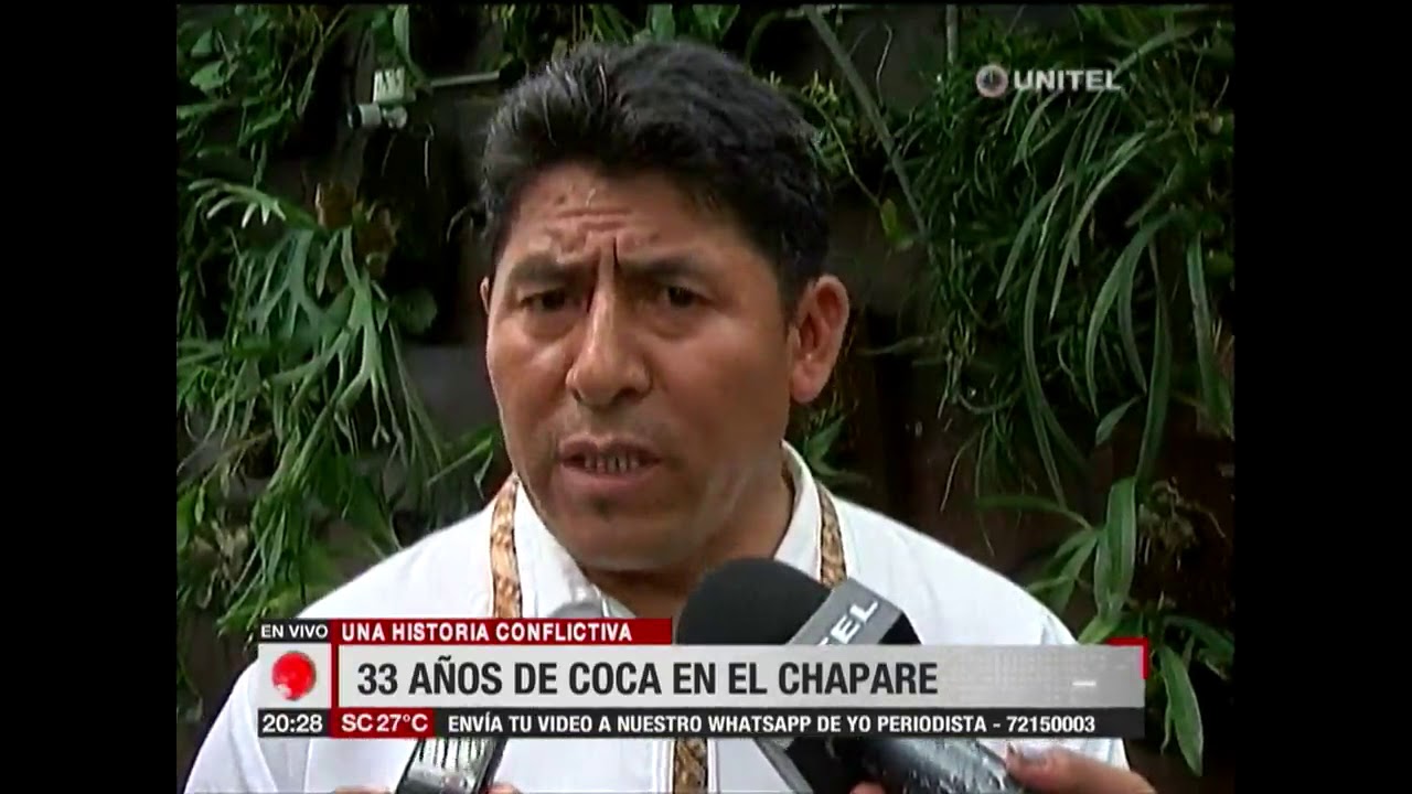 Informe especial: El Chapare, en busca de la nueva ley de coca