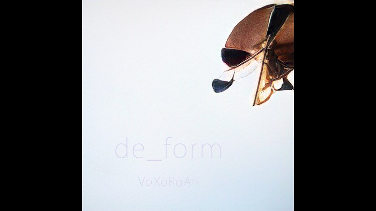 VoXoRgAn