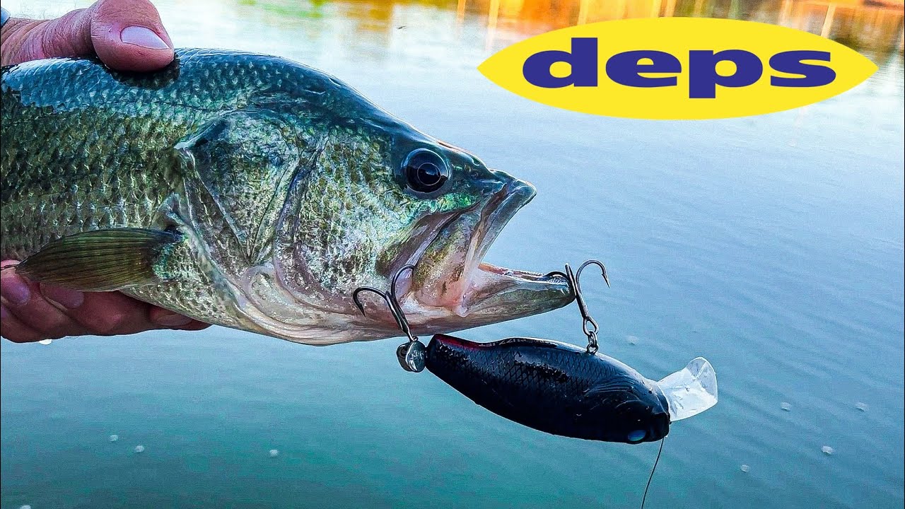 Fishing INSANE Japanese Lure for Aggresive Bass! (Deps Buzzjet)