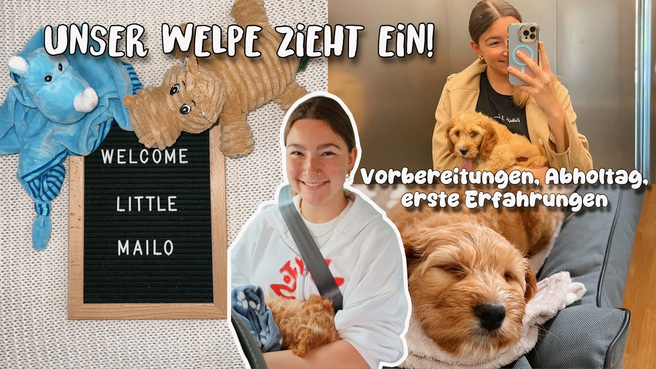Unser Welpe zieht ein - Vorbereitungen, Abholtag und Erfahrungen - vlog melliescameraroll