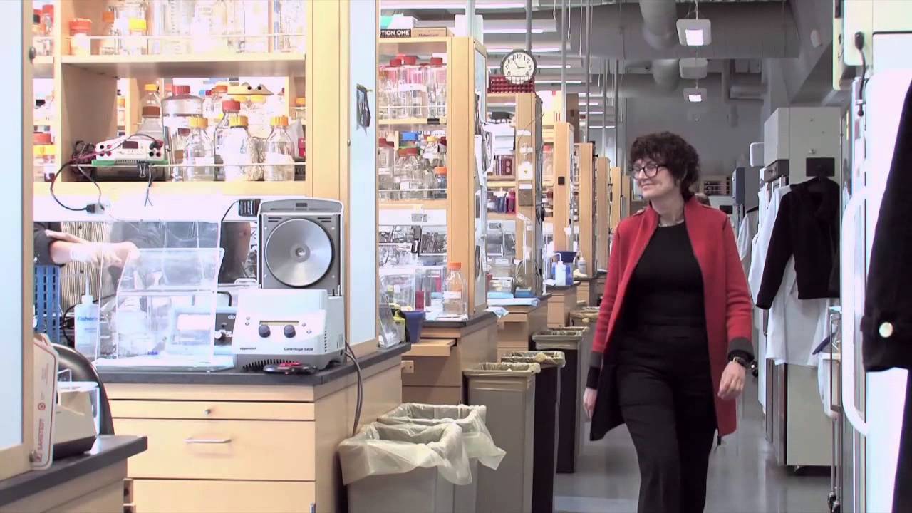 Titia de Lange CGIA 2014
