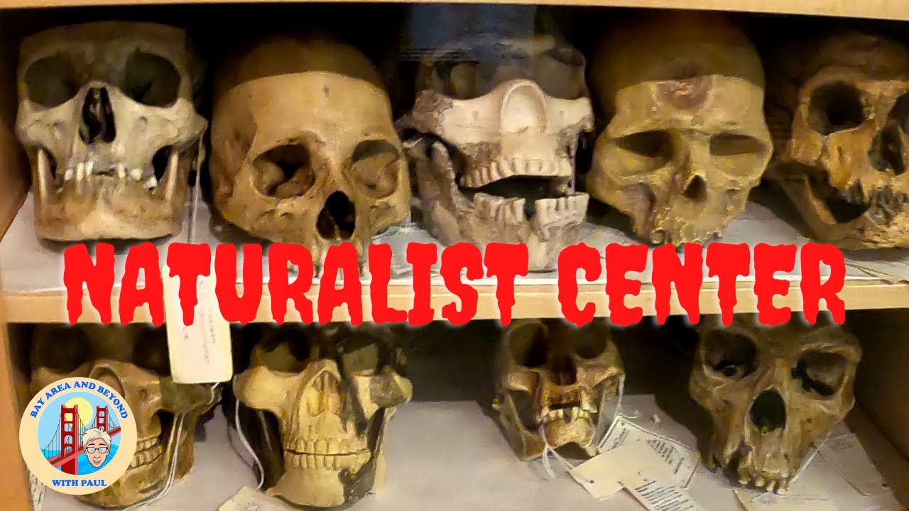 Naturalist Center in San Francisco, Golden Gate Park