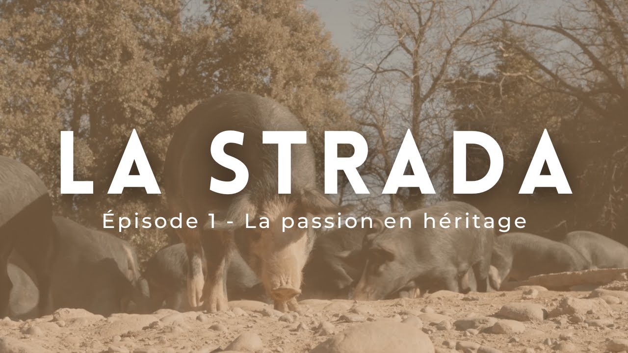 LA STRADA - Épisode 1 : La Passion en héritage
