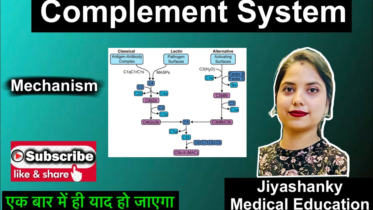 Complement System in Hindi | Mechanism | एक बार में ही याद हो जाएगा |