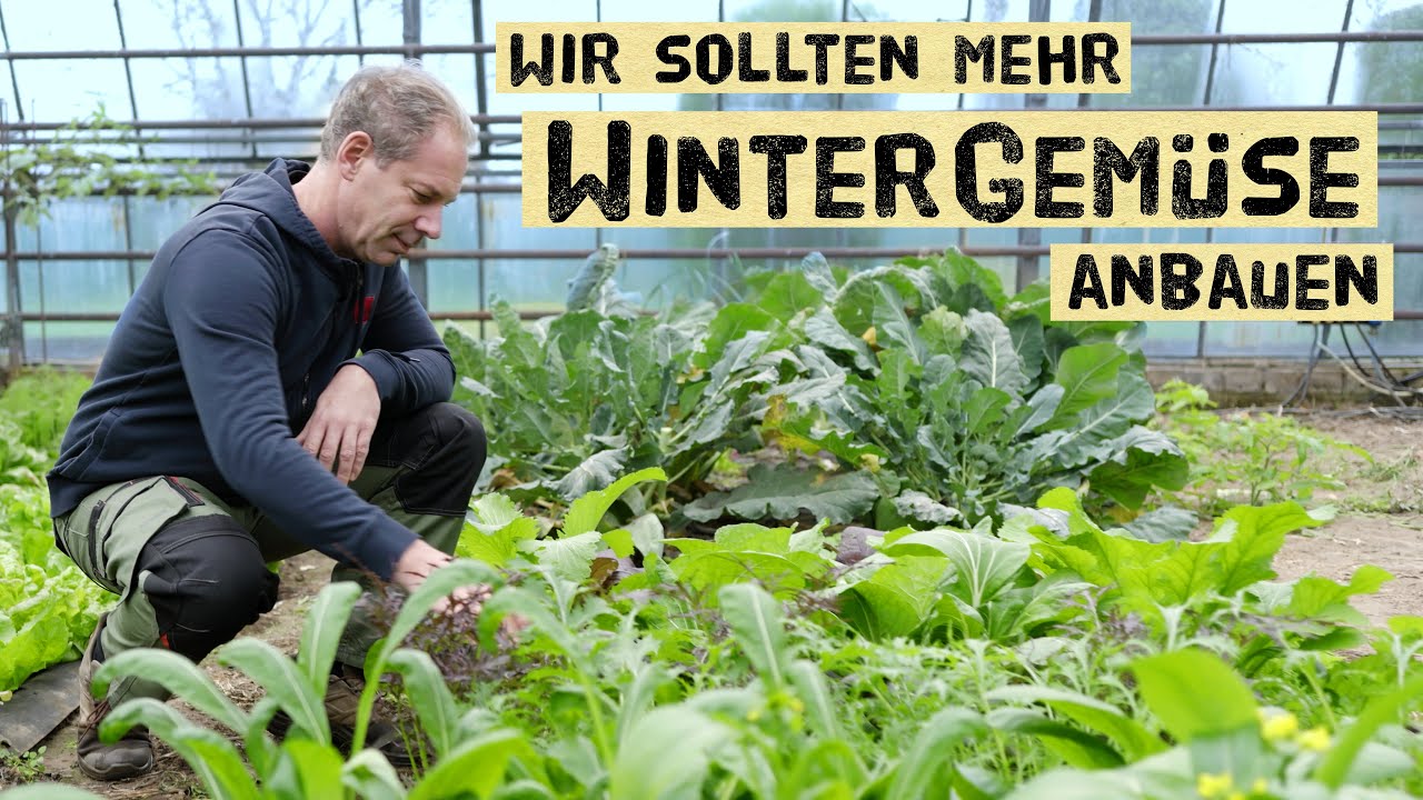 Frisches Gemüse den ganzen Winter lang! Selbstversorgung mit eigenem Kohl und Salat selber anbauen.