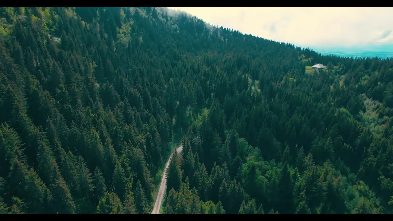 Drone footage FOREST ROAD - 4K