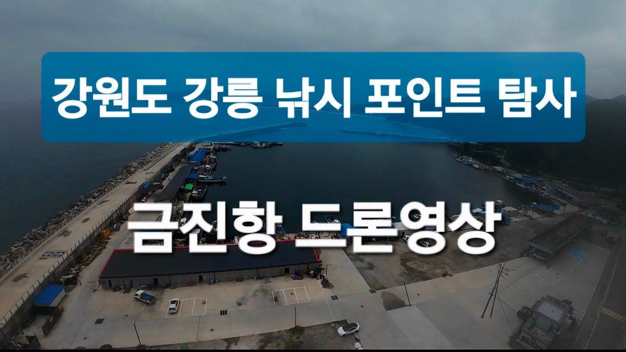 강원도 강릉 낚시 포인트 탐사 :: 금진항 금진방파제 드론영상