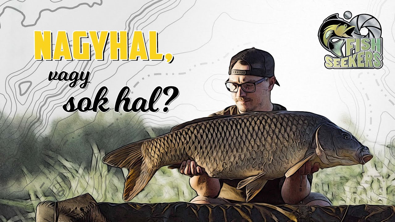 NAGYHALAS etetés vagy SOK HALAS taktika? - Carp Dream Lake