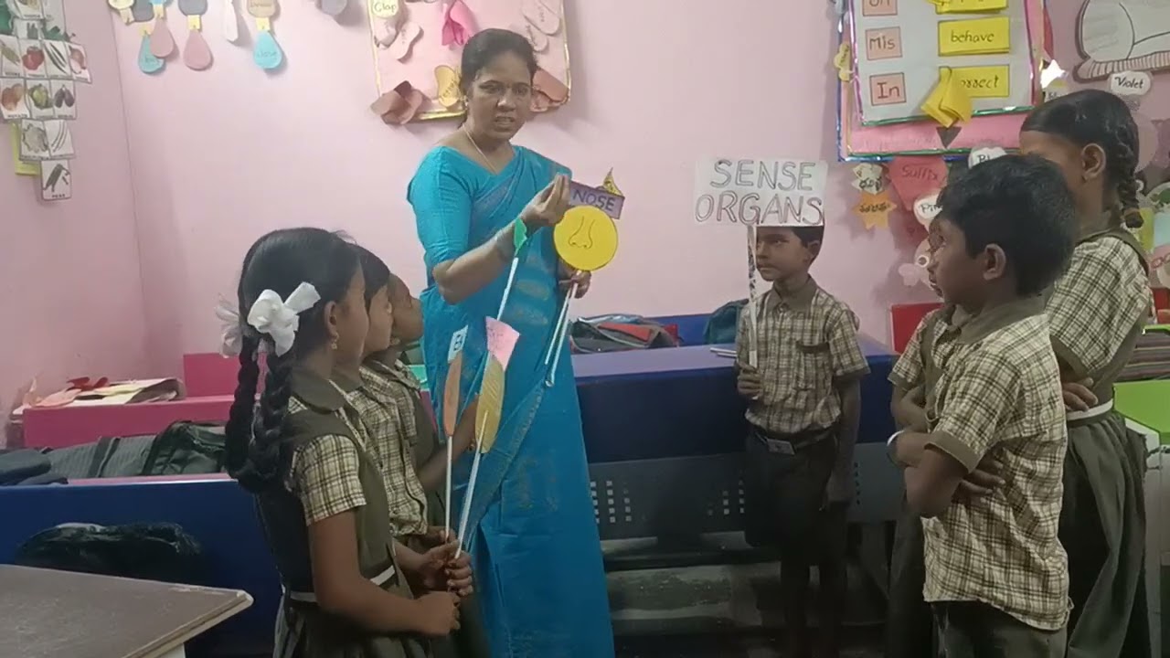 Sense of organs 