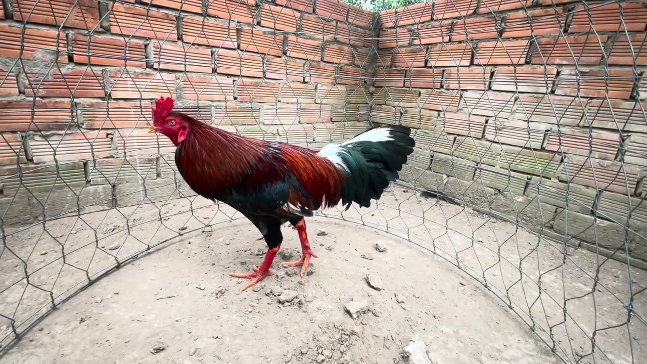 Tốp 5 bé từ 1t5-2t2 @762.8383.34