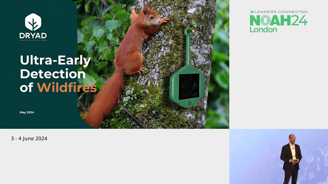 Dryad Networks - NOAH24 London