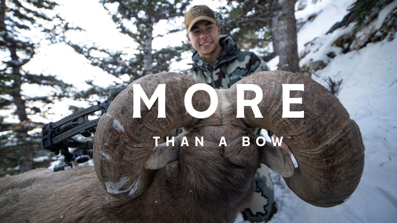 MORE THAN A BOW™ | Hoyt VTM
